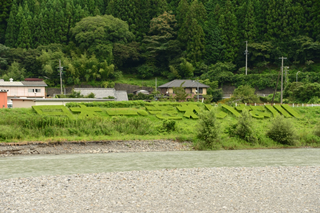 清流のまち浜松魚心水心写真2