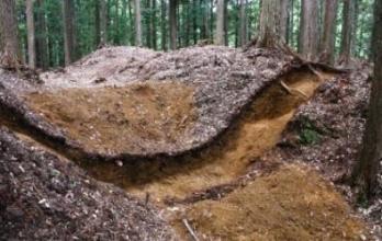 画像　武田式建築法が見える発掘された横堀