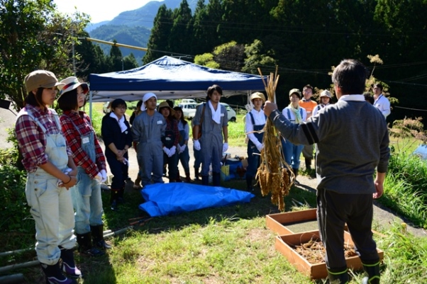 アワの収穫作業の説明を受ける参加者たち