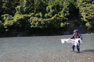 清流のまち浜松魚心水心9-4