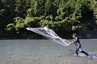 清流のまち浜松魚心水心9-6