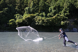 清流のまち浜松魚心水心9-7