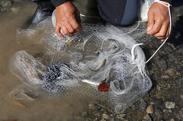 清流のまち浜松魚心水心9-10