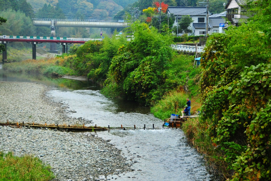 清流のまち浜松魚心水心10-1