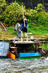 清流のまち浜松魚心水心10-2