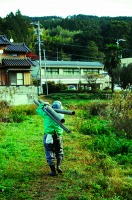 竹を肩に担いで運ぶ人