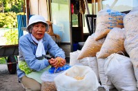 竹チップを手に取るエコピュア佐久間の人