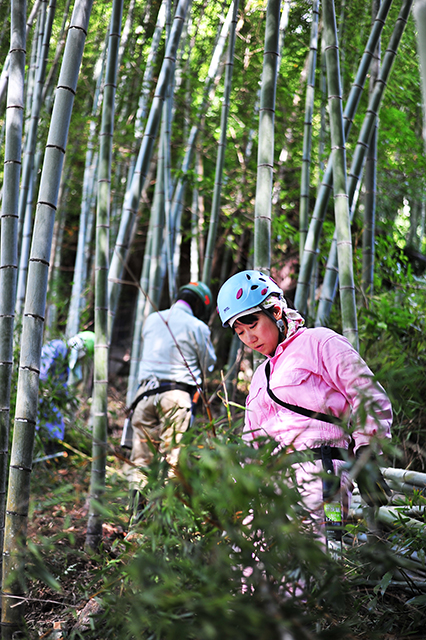 放置竹林の伐採をする人