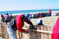 丁寧で手際のよい作業をする人たち