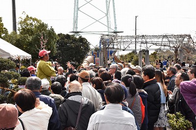 平成27年3月取材日記（植木オークション）