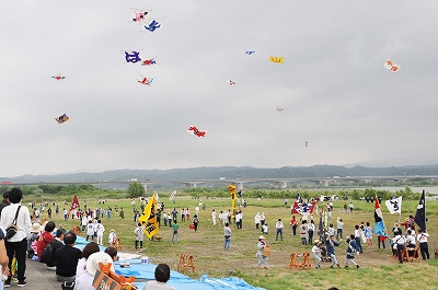 広報取材日記平成28年5月飛竜（凧全体）