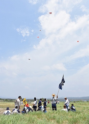 広報取材日記平成28年5月飛竜（凧）