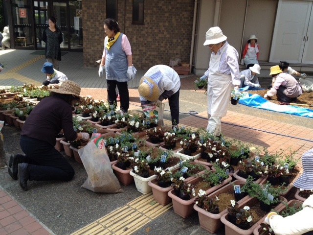 花の会の方と協力して植替え