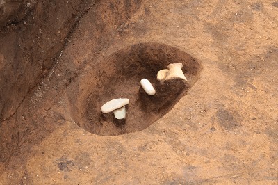 遺物出土状況（東原遺跡）