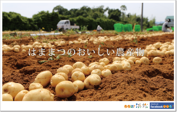 おいしい農産物トップバナー