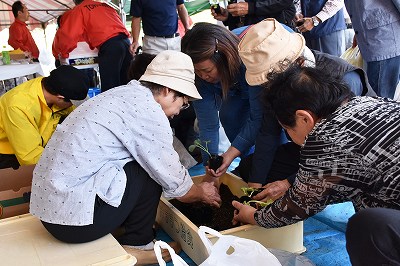 浜北区広報取材日記平成28年10月（産業祭苗植え体験）