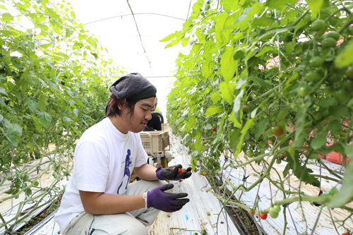 ひなり・中島正博2