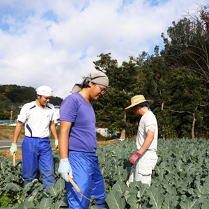 ひなり・中島正博4