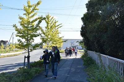 平成28年11月浜北区広報取材日記（名所めぐり街路樹）