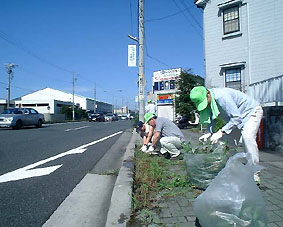 道路の里親活動風景写真