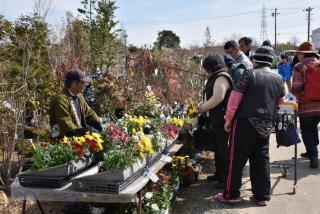 植木まつり（展示即売）