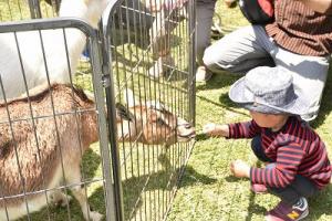 ミニ動物園