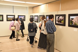 浜北区市民文化祭の様子4