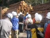 公益的機能の維持増進のための林業振興