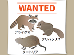 プロジェクト2