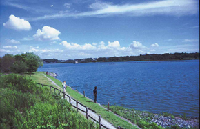 佐鳴湖の景観