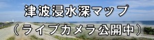 津波浸水深マップ（ライブカメラ公開中）