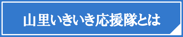 山里いきいき応援隊とは