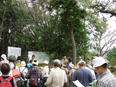 千頭峯城での説明