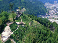 高根城遠景