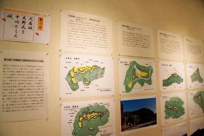 展示の様子