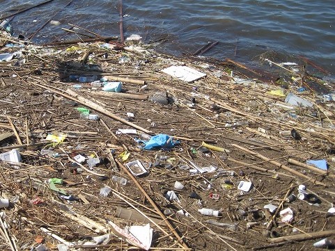 海洋プラスチックごみ