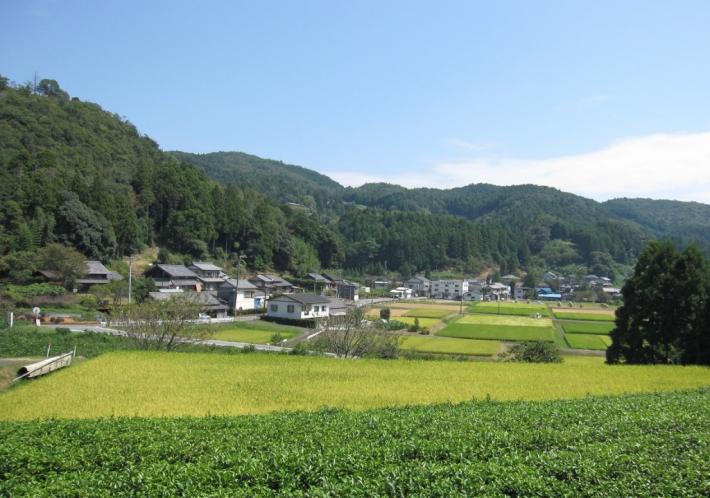 なだらかな山里