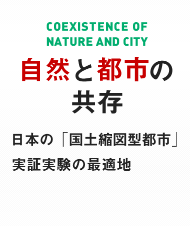 自然と都市の共存 日本の「国土縮図型都市」実証実験の最適地