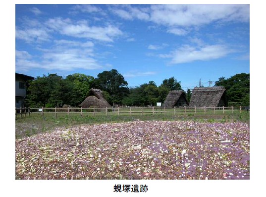 蜆塚遺跡