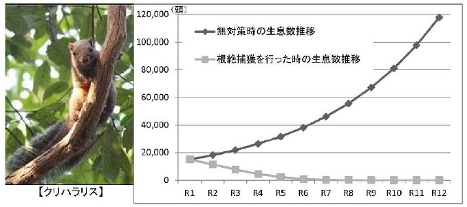 クリハラリスの無対策時の生息数推移と根絶捕獲を行った時の生息数推移