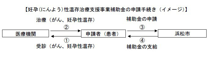 妊孕(にんよう)性温存治療支援事業補助金の申請手続き(イメージ)