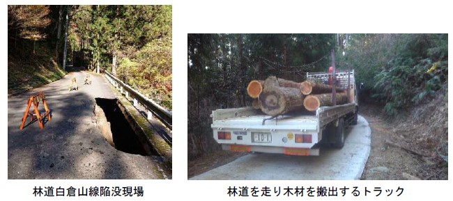林道白倉山線陥没現場 林道を走り木材を搬出するトラック