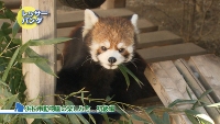 来て楽しい！知って楽しい!!浜松市動物園