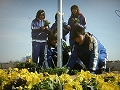 浜松市が新たに政策の柱として掲げる「花のまち・浜松」