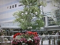 平成18年の抱負と主なイベント
