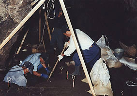滝沢鍾乳洞の洞内の調査