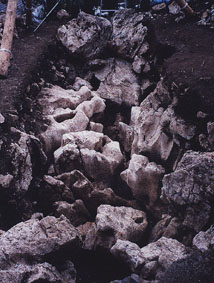 前庭部の調査で現れた風化した石灰岩の露頭