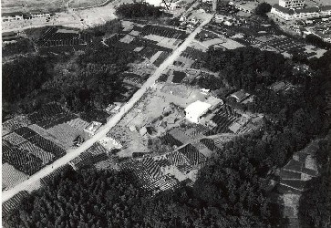 1965年