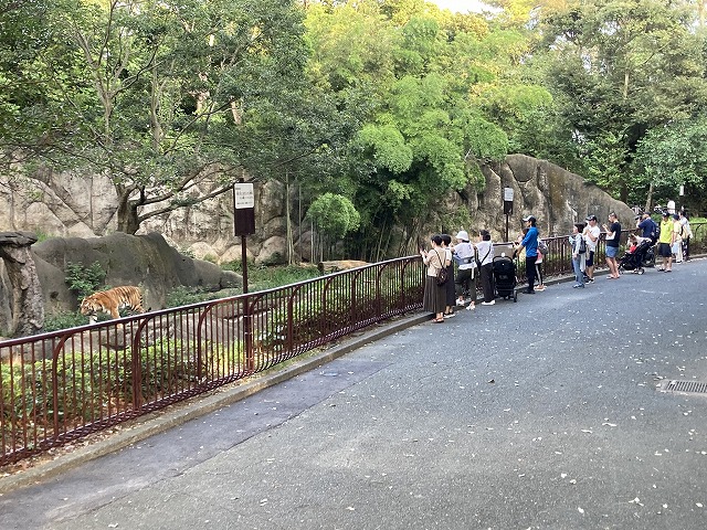 浜松市動物園の園内
