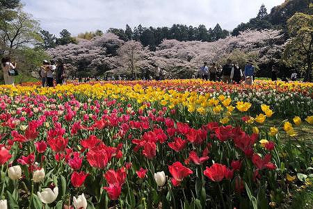はままつフラワーパーク